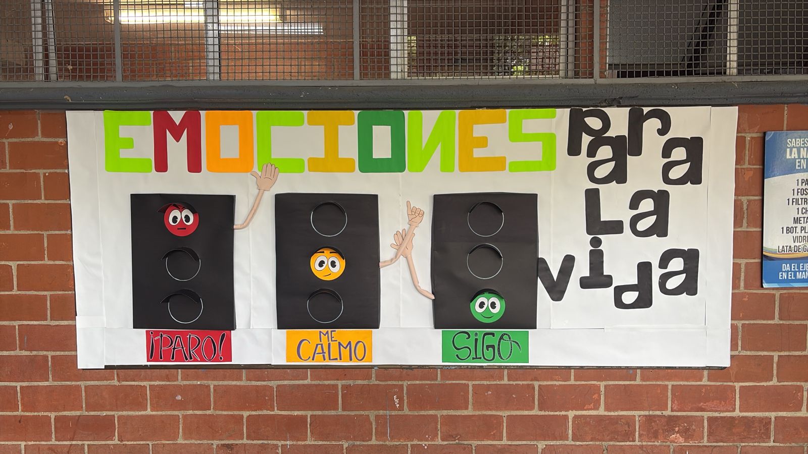 WhatsApp Image 2025-07-25 at 10.53.44 AM.